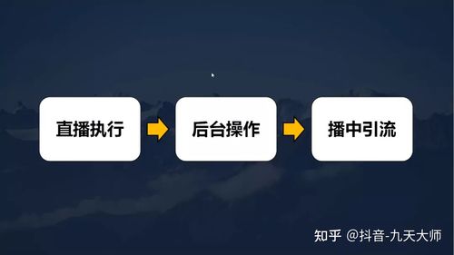 抖音直播帶貨流程圖,抖音直播帶貨有哪些小細節(jié)？  第4張