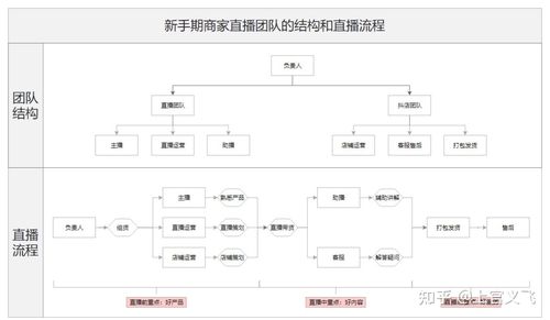 廣州番禺抖音直播帶運(yùn)營(yíng),抖音直播運(yùn)營(yíng)是做什么的？  第2張