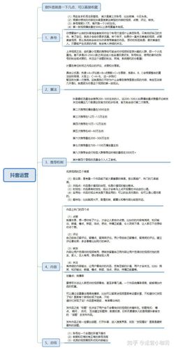 抖音運營的工作計劃,抖音時代 運營計劃[優(yōu)質ppt]  第1張