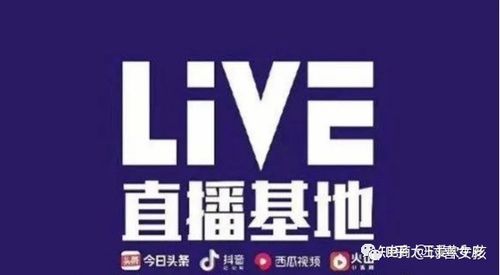 四會抖音直播基地運營,四會抖音live直播基地  第3張