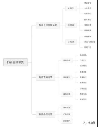 抖音直播運營自學(xué)全套教程帶貨,怎么做精心的網(wǎng)紅直播方案？  第1張