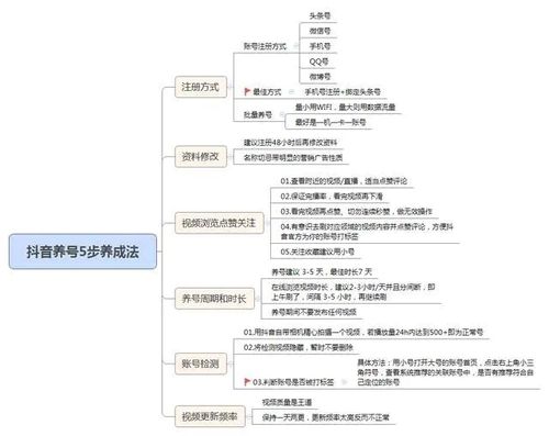 抖音直播運營方案,抖音運營有哪些？抖音運營團隊哪里找？  第1張