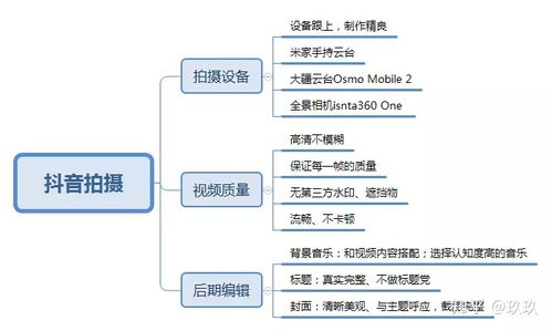 抖音直播公司運(yùn)營全套流程,抖音直播公司運(yùn)營模式  第4張