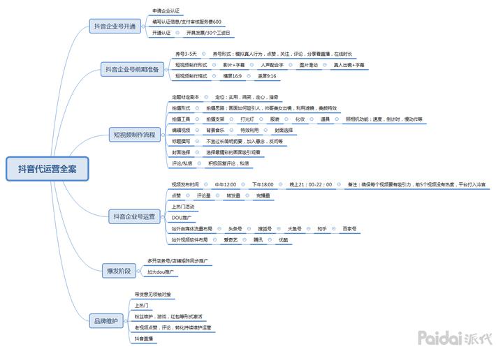 抖音電商運(yùn)營(yíng)策略,抖音運(yùn)營(yíng)有什么技巧策略？  第3張