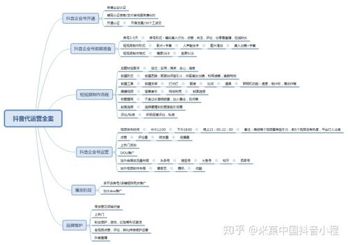 十大抖音代運(yùn)營(yíng)公司,抖音代運(yùn)營(yíng)做得比較好的公司是？  第2張