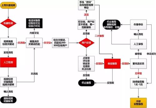 抖音直播代運營主要工作內(nèi)容,深圳抖音代運營哪家好？  第3張