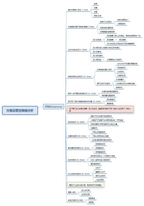 試分析抖音的運(yùn)營(yíng)管理模式(抖音認(rèn)證-抖音企業(yè)認(rèn)證、抖音運(yùn)營(yíng)、  第2張