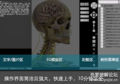 3d虛擬人體解剖軟解軟件,3d人體解剖圖的軟件  第4張