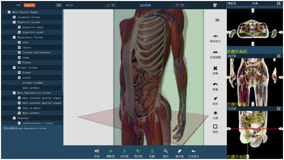 虛擬人體解剖實(shí)驗(yàn)室有哪些,虛擬仿真解剖實(shí)驗(yàn)室  第1張