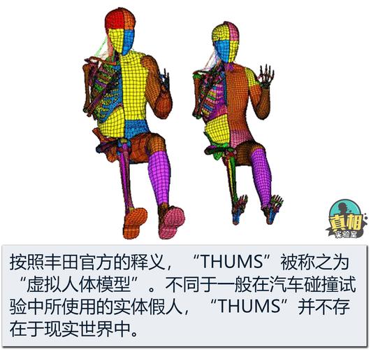 虛擬人體領(lǐng)域,數(shù)字化虛擬人體  第4張