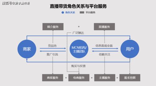 虛擬人怎么直播帶貨,個(gè)人可以直播帶貨嗎  第2張