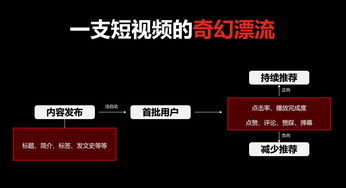 揚州短視頻直播代運營,北京新媒體短視頻直播運營(短視頻電商直播運營)  第3張