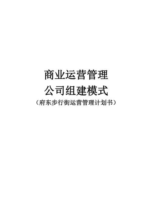 直播代運營商業(yè)計劃書,商業(yè)計劃書運營分析(網(wǎng)絡直播商業(yè)計劃書)  第3張